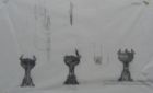 Copyright: Nagel, Wesseling